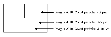 SEM Analysis of GSD